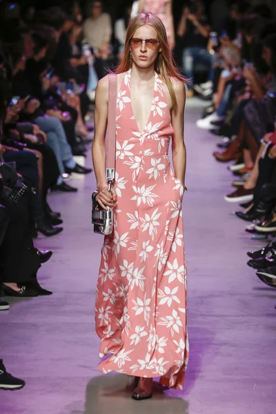 Paul ve Joe gösterisi 