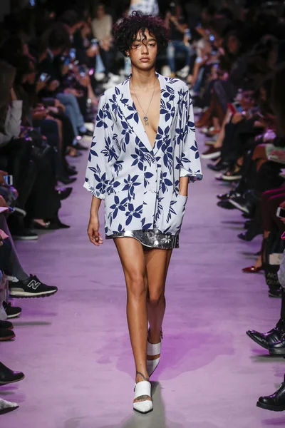 Paul ve Joe gösterisi 