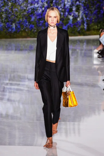 Christian Dior show — Stockfoto