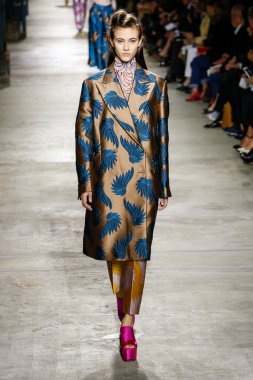 Dries Van Noten gösterisi 