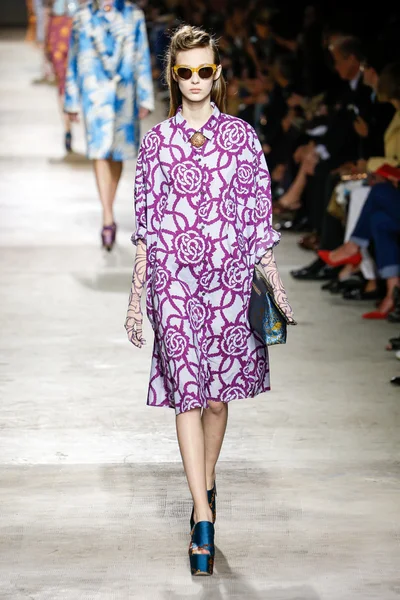 Show de Dries Van Noten —  Fotos de Stock