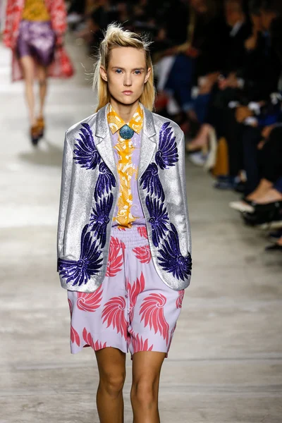 Dries Van Noten gösterisi 