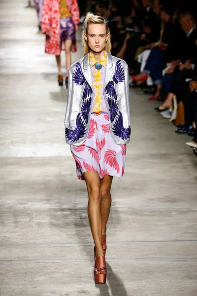 Dries Van Noten gösterisi 