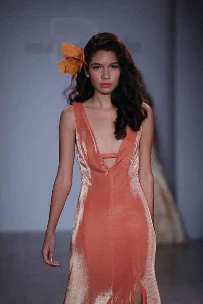 Raul Penaranda Runway Show — Fotografia de Stock