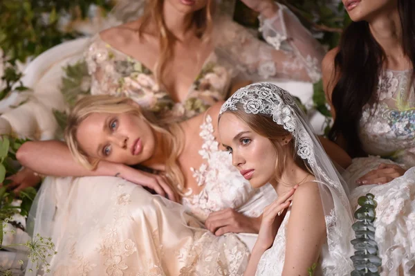 Claire Pettibone Collezione Four Seasons Vetrina — Foto Stock