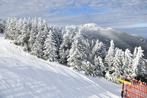 佛蒙特州的斯托 斯基度假村 俯瞰曼斯菲尔德山坡 12月Vt树木季节初的新雪 全景高分辨率图像 — 图库照片