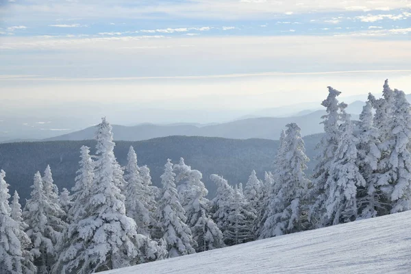 位于曼斯菲尔德山顶4393英尺处的八达隆咖啡厅观景台上 俯瞰滑雪场的全景 Vt的斯托滑雪胜地 — 图库照片