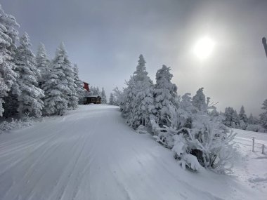 Aralık ayı başında Stowe Dağı tatil beldesi VT 'de bol miktarda kar yağan kayak pistlerine bakın.