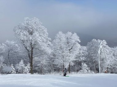 Aralık ayı başında Stowe Dağı tatil beldesi VT 'de bol miktarda kar yağan kayak pistlerine bakın.