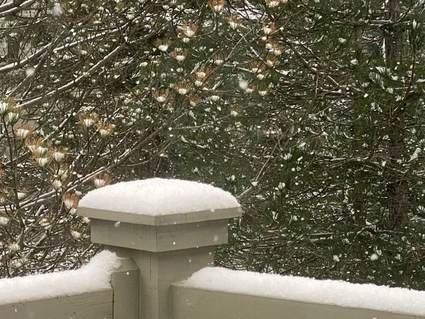 Verse Sneeuw Een Veranda — Stockfoto