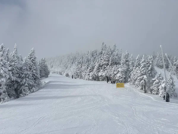 Vista Las Pistas Esquí Con Mucha Nieve Fresca Polvo Stowe — Foto de Stock