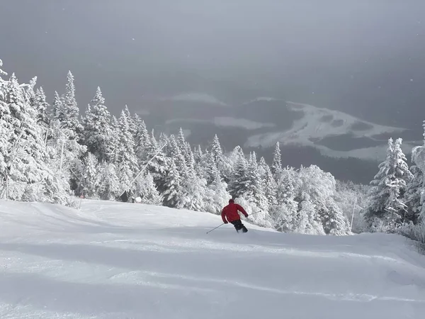 Vista Para Pistas Esqui Com Muita Neve Fresca Stowe Mountain — Fotografia de Stock