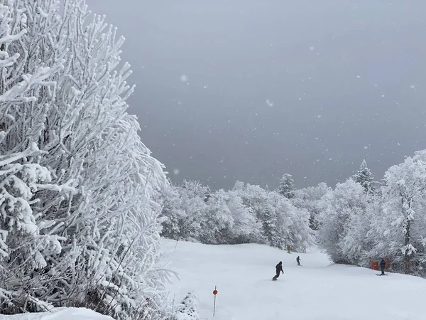 Ski Lors Une Belle Journée Neige Usa Station Ski — Photo