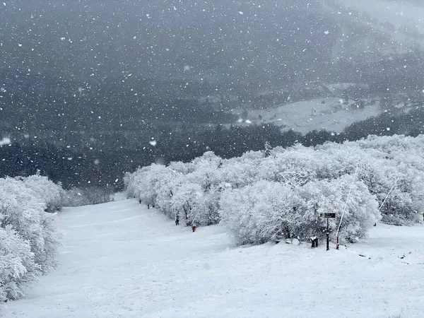 Schneefall Bewölkten Ruhigen Tagen Skigebiet Stowe Mountain Schneeflocken Anfang Dezember — Stockfoto