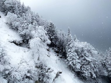 VT kayak merkezinde kar tatilinde etkili bulutlar