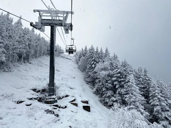 侧边有松树的滑雪椅电梯 — 图库照片