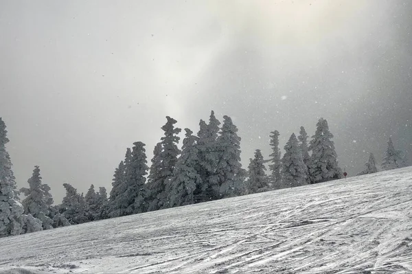 Tempo Sci Stowe Mountain Ski Resort Summit Usa Nel Dicembre — Foto Stock