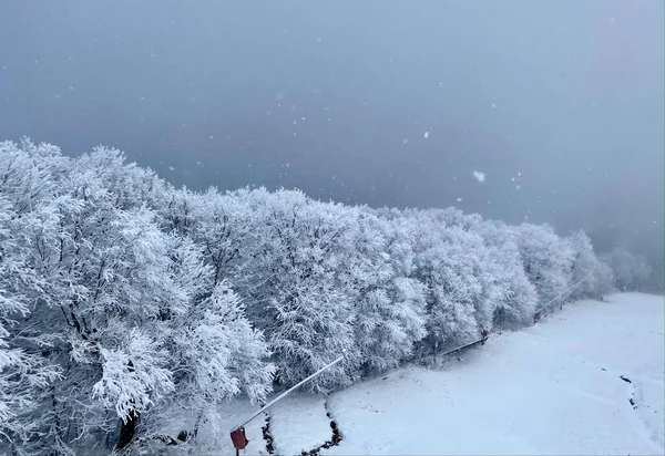 スキー場で曇りの雪の日 バーモント州 アメリカ — ストック写真