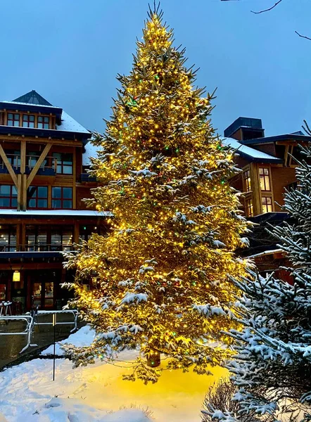 Christmas Tree Stowe Mountain Resort Spruce Peak Village Evening Time — Stock Photo, Image