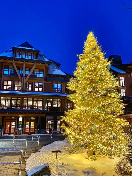 Illuminated Christmas Tree Empty Stowe Mountain Resort Spruce Peak Village — Stockfoto