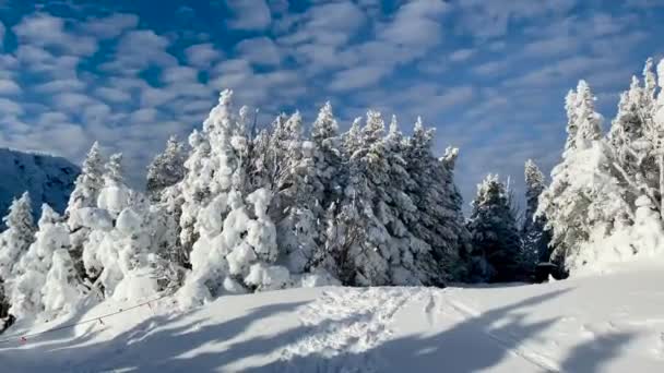 Vídeo Panorâmico Estância Esqui Stowe Montanha Dia Ensolarado Neve Fresca — Vídeo de Stock