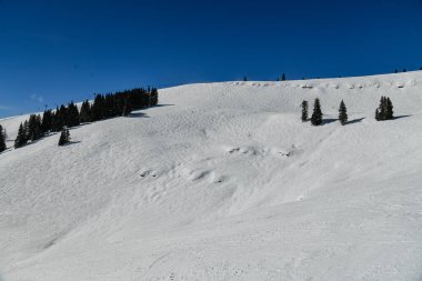 Kayak pisti dışındaki serbest bölge ya da Vail Kayak Tesisi 'nin bakımlı yamacında, CO.