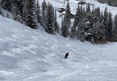 Kayakçı, Vail Kayak Tesisi, Colorado 'da kayak yapan kodamanlarla kayak pistine gidiyor..