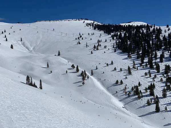 Personas Esquiando Una Distancia Tazón Trasero Estación Esquí Vail —  Fotos de Stock