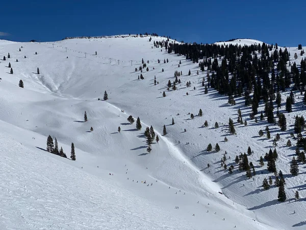 Emberek Síelnek Távolban Hátsó Tál Vail Ski Resort — Stock Fotó