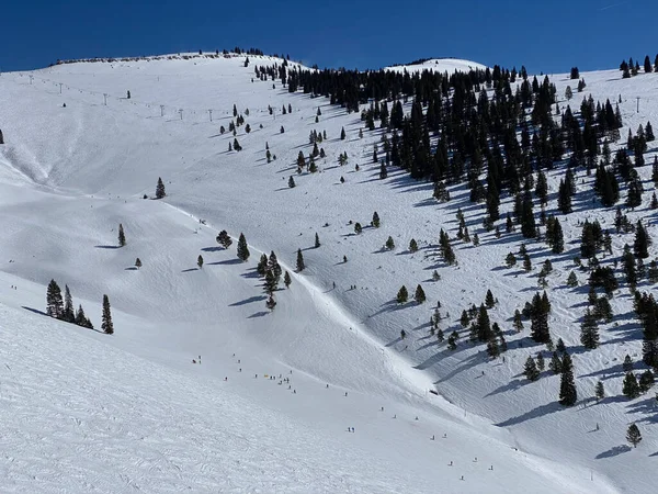 Pessoas Esquiando Distância Tigela Traseira Vail Ski Resort — Fotografia de Stock