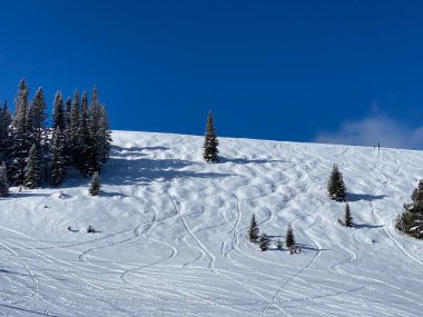 Vail Kayak Merkezi 'ndeki güzel güneşli bir günde ilk kayak pisti.