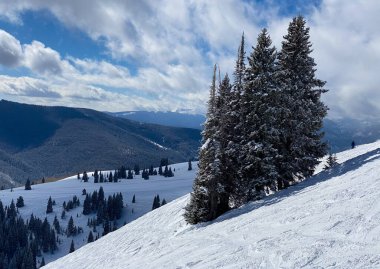 Vail kayak merkezinde güneşli bir günde kayak yapmak, Colorado