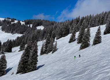 Vail, Colorado 'da kayak pistlerinin panoramik manzarası