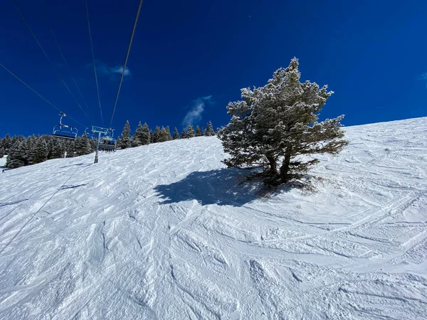 Panoramiczny Widok Stoki Narciarskie Vail Kolorado — Zdjęcie stockowe