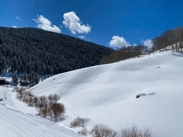 Backcountry Esqui Vail Colorado Boliches Traseiros Belo Dia Ensolarado — Fotografia de Stock