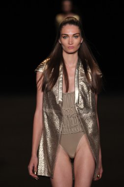 skruvmejsel närbild av spets och handtag