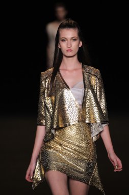 skruvmejsel närbild av spets och handtag