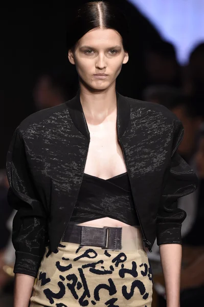 Model procházky dráhy na donna karan new york show — Stock fotografie