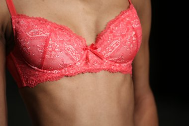 Bradelis New York iç çamaşırı bahar 2015 koleksiyonu