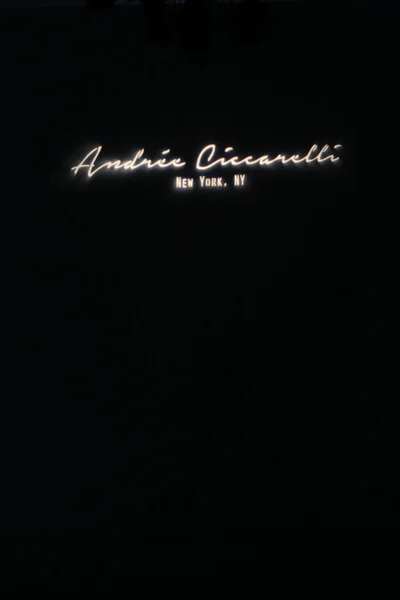 Pasarela en la colección Andree Ciccarelli Primavera 2015 — Foto de Stock