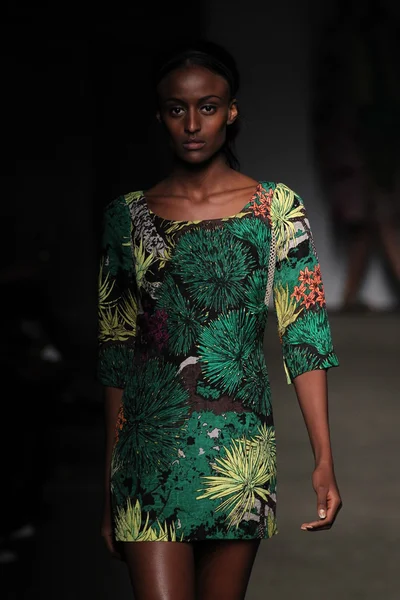 Tracy Reese během Mercedes-Benz Fashion Week — Stock fotografie