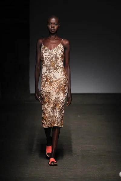 Tracy Reese during Mercedes-Benz Fashion Week — Stock Photo, Image