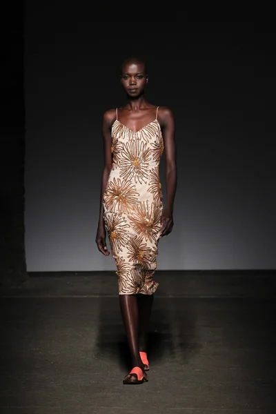 Tracy Reese during Mercedes-Benz Fashion Week — Stock Photo, Image