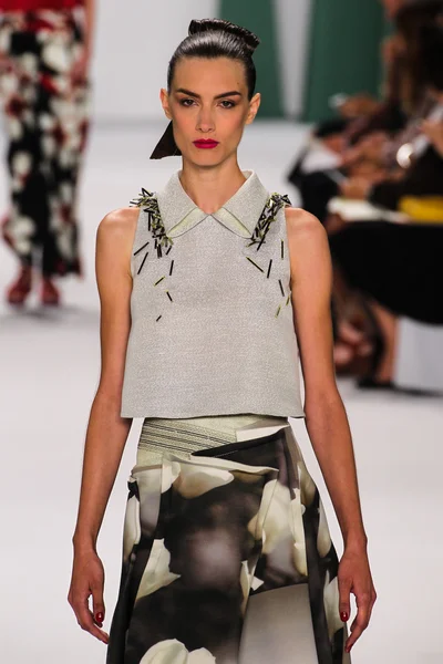 Model Ronja Furrer walk the runway at the Carolina Herrera fashion show — Stock Photo, Image