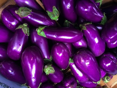 Pile of freshly picked eggplants clipart
