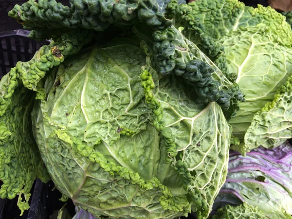 Cabbage or savoy cabbage at the farmers Market — Stock Photo, Image