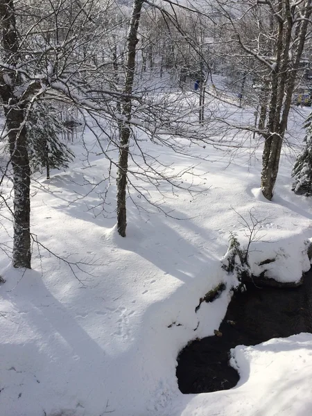 Snowy pochylają w górach — Zdjęcie stockowe