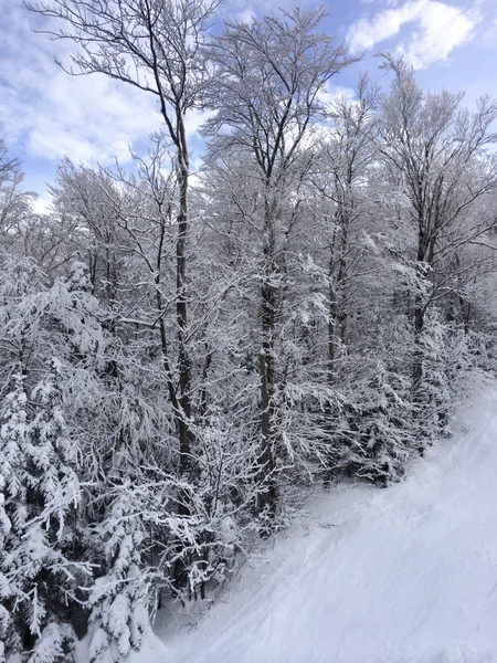 Piste enneigée dans les montagnes — Photo