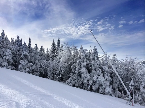 Snowy pochylają w górach — Zdjęcie stockowe