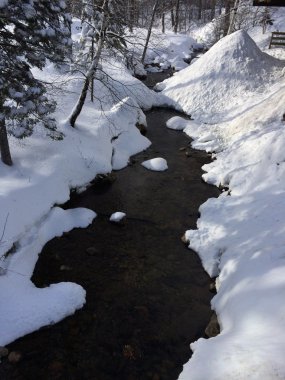 Dağların karlı dereye